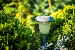 Lampy solarne do ogrodu — jak wybrać?